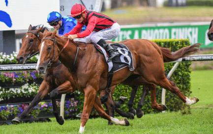 New lease of life: Passage Of Time is ready to break an 18-month winning drought  at Randwick on Saturday.