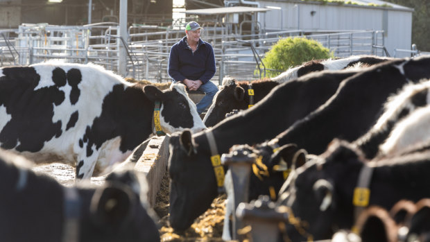 Local farmers fear a foot and mouth disease outbreak would result in the destruction of millions of animals. 