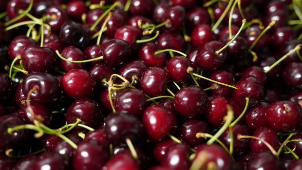 A levy on cherry production will raise $1 million for research this year.