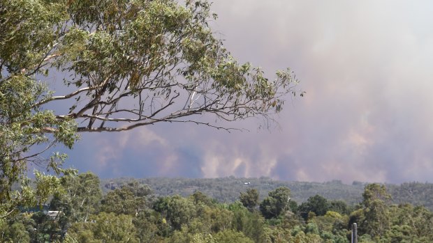 The Tingha fire, pictured on Tuesday, has burnt more than 5600 hectares.