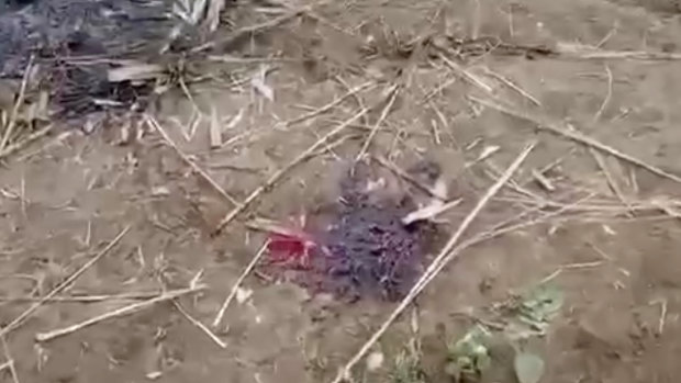 A bloodstain is seen on the ground near charred corpses in Don Taw village in Sagaing, Myanmar, in December 2021. 