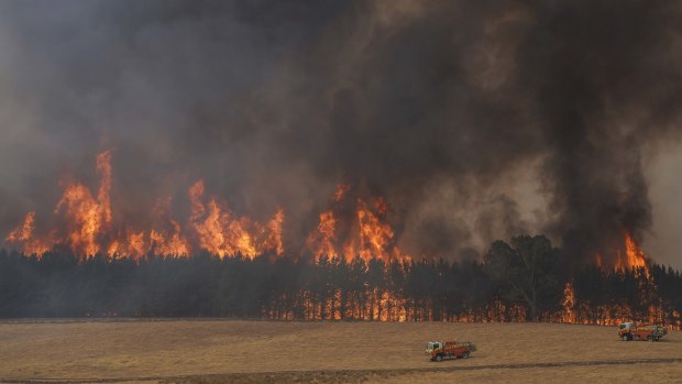 The 600,000-hectare "mega-fire" was  burning south of the Snowy Mountains. after two fires merged.