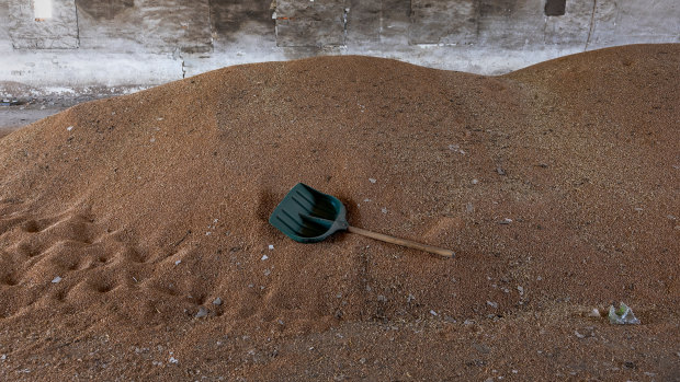 Wheat lies piled in a grain warehouse earlier shelled by Russian forces near the frontlines of Kherson Oblast in Novovorontsovka, Ukraine.