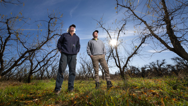 Max Wright and his son, Joey, are among the local growers whose fruit orders have been cut.