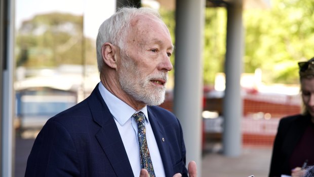Professor Patrick McGorry said further action is needed ahead of a royal commission. 