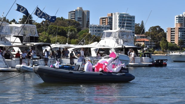 Floats bobbed near the yachts, as black swans swam past hurriedly. 