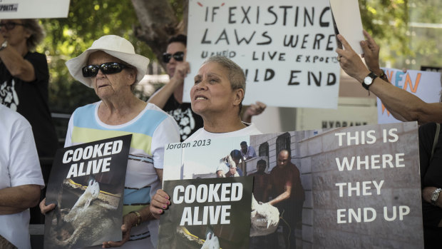 Protesters hold placards denouncing live exports of sheep.