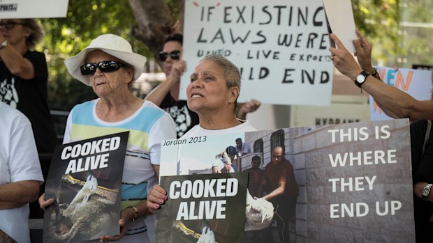 Protesters hold placards denouncing live exports of sheep.