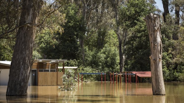 Three cabins at the Goulburn River caravan park in Seymour were flooded.