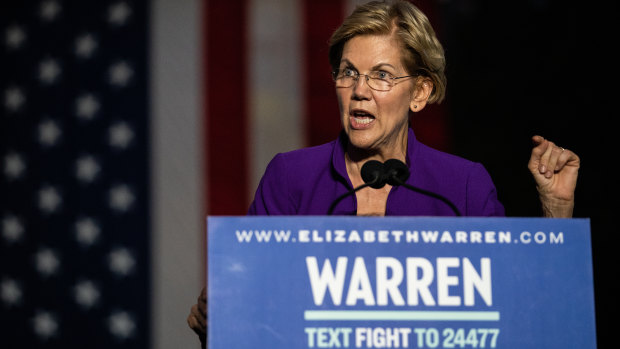 Senator Elizabeth Warren has called for Facebook, as well as Google and Amazon, to be broken up.