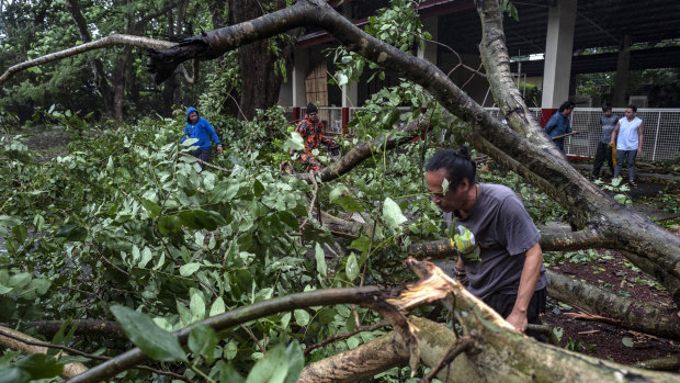 Residents clear fallen trees in Lipa town, Batangas province, Philippines, during the onslaught of Typhoon Kammuri.