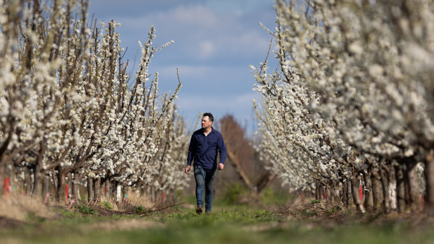 McNab says the cost of fresh produce will have to rise on retail shelves, or it will be unsustainable for many farmers.