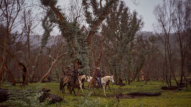 The Maguire family emerge out of the regrowth at the back of the property in the Bogong High Plains. 