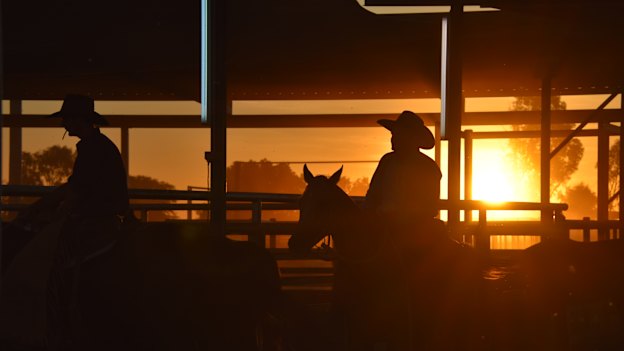 The daylight savings debate in Queensland has been geographically divided, with the No vote strongest in the north and west and the south-east in favour.
