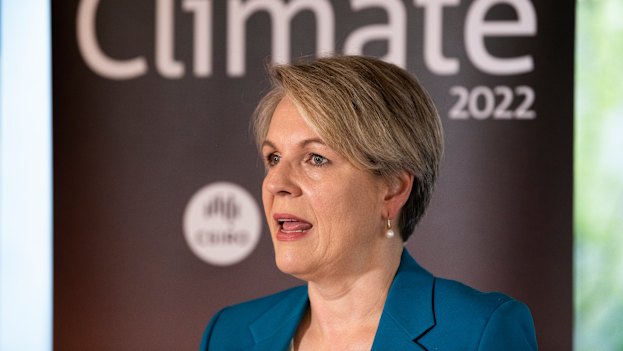 Minister for the Environment and Water Tanya Plibersek.