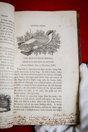The Brontë family copy of Thomas Bewick’s A History of British Birds, which has a cameo in Jane Eyre. 
