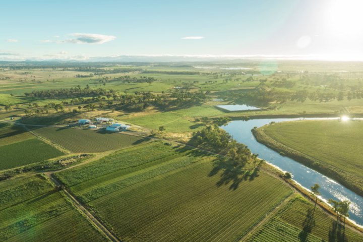 The Glen Innes Aggregation in northern NSW is one of five aggregations owned by the Mulgowie Farming Company.