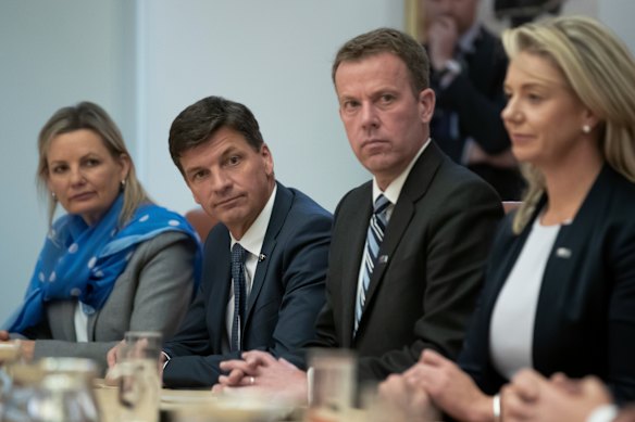 Frontbenchers Sussan Ley, Angus Taylor and Dan Tehan are all interested in the party leadership. But Tehan could be kingmaker.