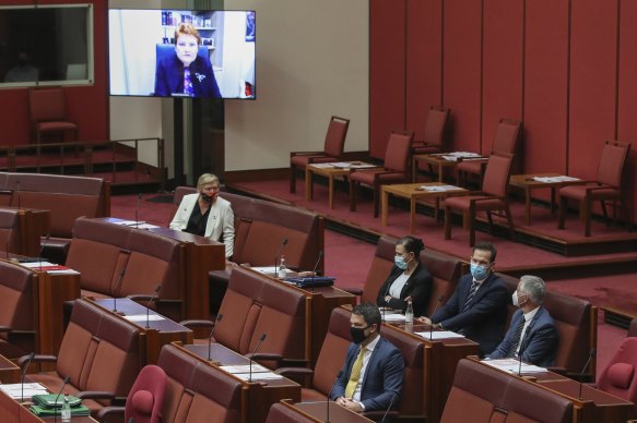 Five government Senators voted for One Nation’s bill. 