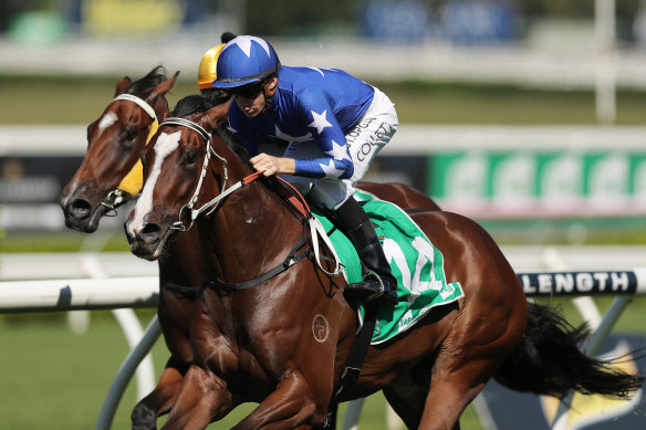 The in-demand Fender is yet to taste defeat heading into a potentially fruitful spring campaign.