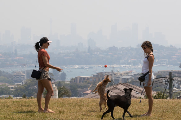 More haze awaits: Sisters Michelle Shimmy and Maddie Sparkle play with their dogs in Dover Heights on Friday. 