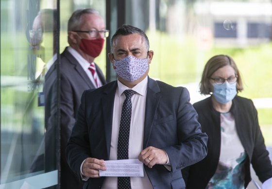 Acting Premier John Barilaro is flanked by Health Minister Brad Hazzard and Chief Health Officer Dr Kerry Chant on Tuesday. 