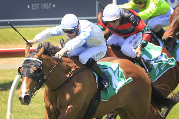 King's Trust races to a fairytale win in the Highway Handicap at Newcastle last Saturday.