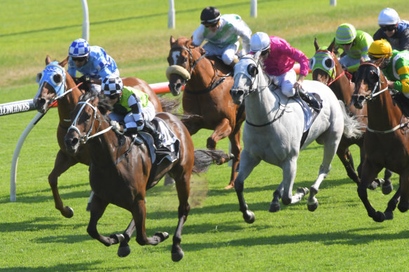 Madame Rouge will head to the Gold Coast Magic Millions carnival after her win at Randwick.