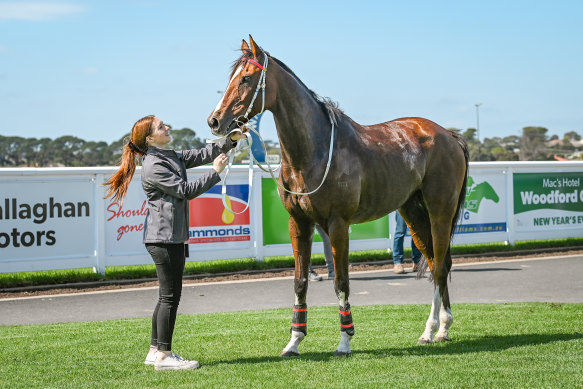 San Remo fell during last year’s Grand Annual but is back for this year’s jumps at Warrnambool.