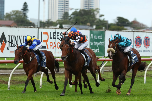 Magnaspin hits the front in The Coast at Newcastle on Saturday.