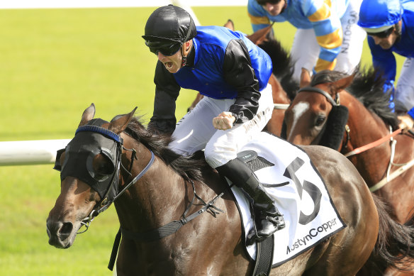 Josh Parr's perfect ride helped Shadow Hero to victory in the Randwick Guineas.