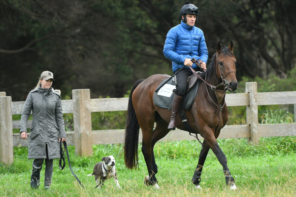 Champion jumps jockey Steven Pateman and partner Jess Barton during trackwork at Warrnambool last month.