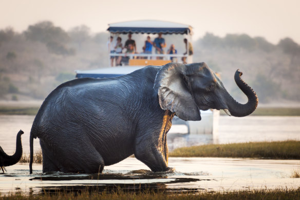 Chobe National Park in Botswana, Africa. A big myth about escorted tours is that they’re for unimaginative travellers.
