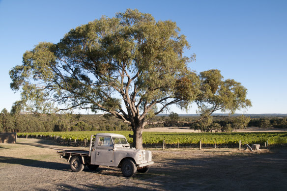 The Bindi Wines vineyard in the Macedon Ranges, Vic.