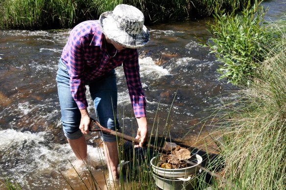 Fossick for gold, sapphires, diamonds, zircon and more in a day at Oberon.