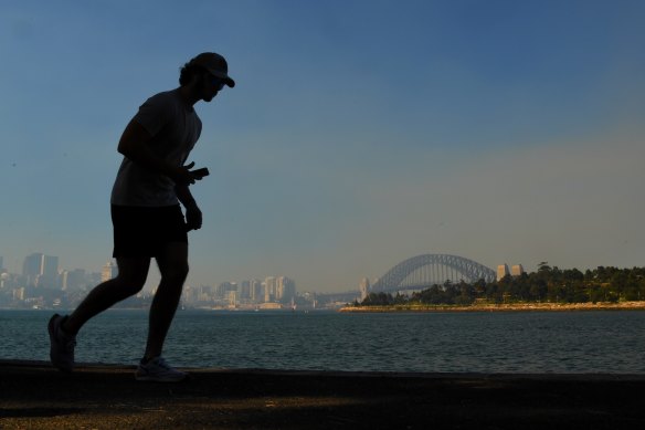 Sydney air pollution spikes during bushfires but even normal levels can be dangerous, experts warn.
