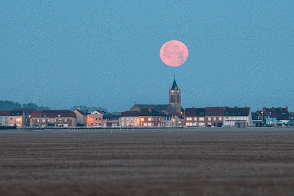 Gravelines ... A distância é fácil contrabandistas e migrantes para se esconder das autoridades estendidas.