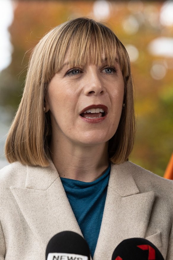 Transport Minister Jo Haylen restarted the public consultation on the cycleway in June, saying it needed to be done properly. 