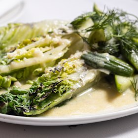 Grilled romaine lettuce with cucumber, mint and buttermilk.