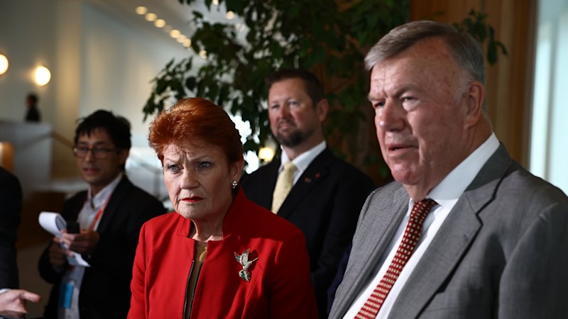 Pauline Hanson says Albanese has ‘crossed a line’ after Secret Harbour One Nation win