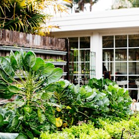 The kitchen garden. 