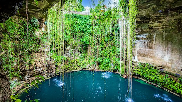 Cenote in Yucatan Peninsula, Mexico.
