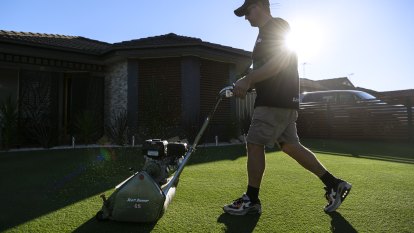 Lawn envy: Social media and the pandemic create a turf war for the best on street