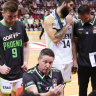 COVID chaos: Phoenix face three-week gap between clashes after NBL, WNBL postponements