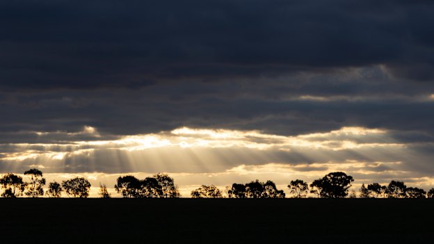 Sunrise in the days before the Farrer byelection.