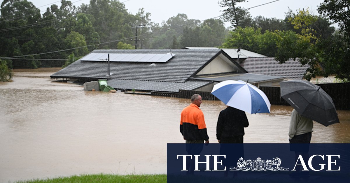 What to do after a flood to ensure a successful insurance claim - Vimarsana News