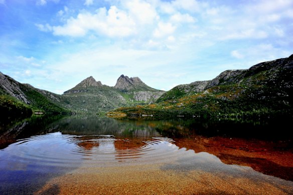 The jagged contours of Cradle Mountain epitomise the feel of a wild landscape, while ancient rainforest and alpine heathlands, buttongrass and stands of colourful deciduous beech provide a range of environments to explore. 