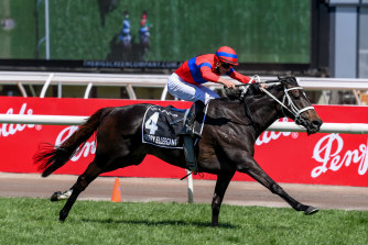 Verry Elleegant in full flight on her way to winning last year’s Melbourne Cup, a title she could defend in 2022 
