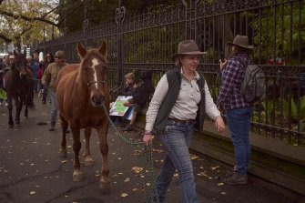 Colleen O’Brien, who runs Brumby Junction – a sanctuary solely for brumbies, two hours west of Melbourne in Glenlogie – at a Save The Brumby protest at Parliment House in Melbourne.