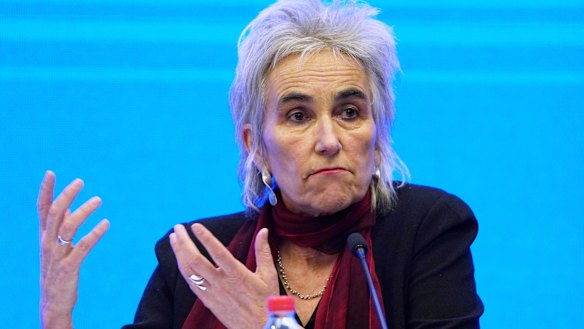 Dutch virologist Marion Koopmans at the World Health Organisation briefing on its investigation in Wuhan.